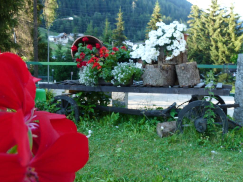 Baita Velon Vermiglio Dış mekan fotoğraf