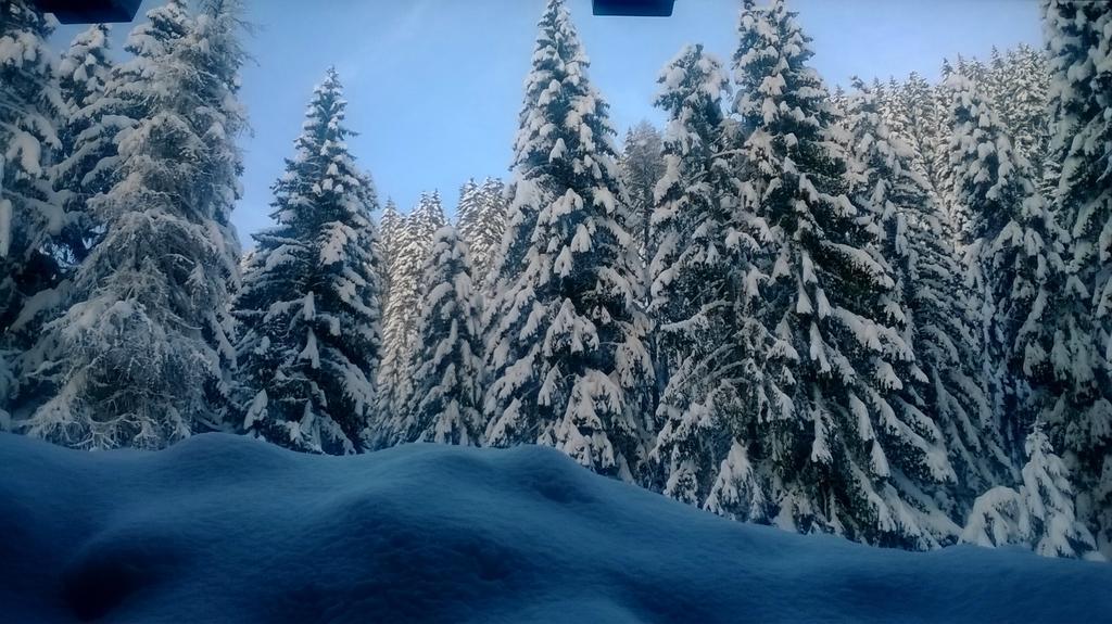 Baita Velon Vermiglio Dış mekan fotoğraf